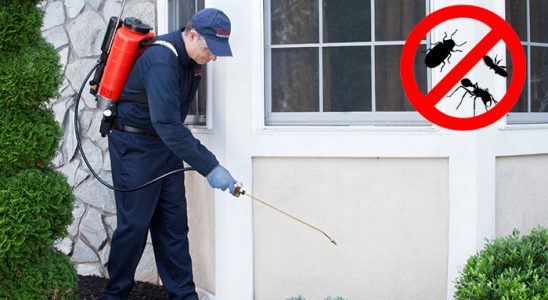 Kemalpaşa Akrep İlaçlama böcek ilaçlama ve haşere kontrolü — ilaclama-tr.com